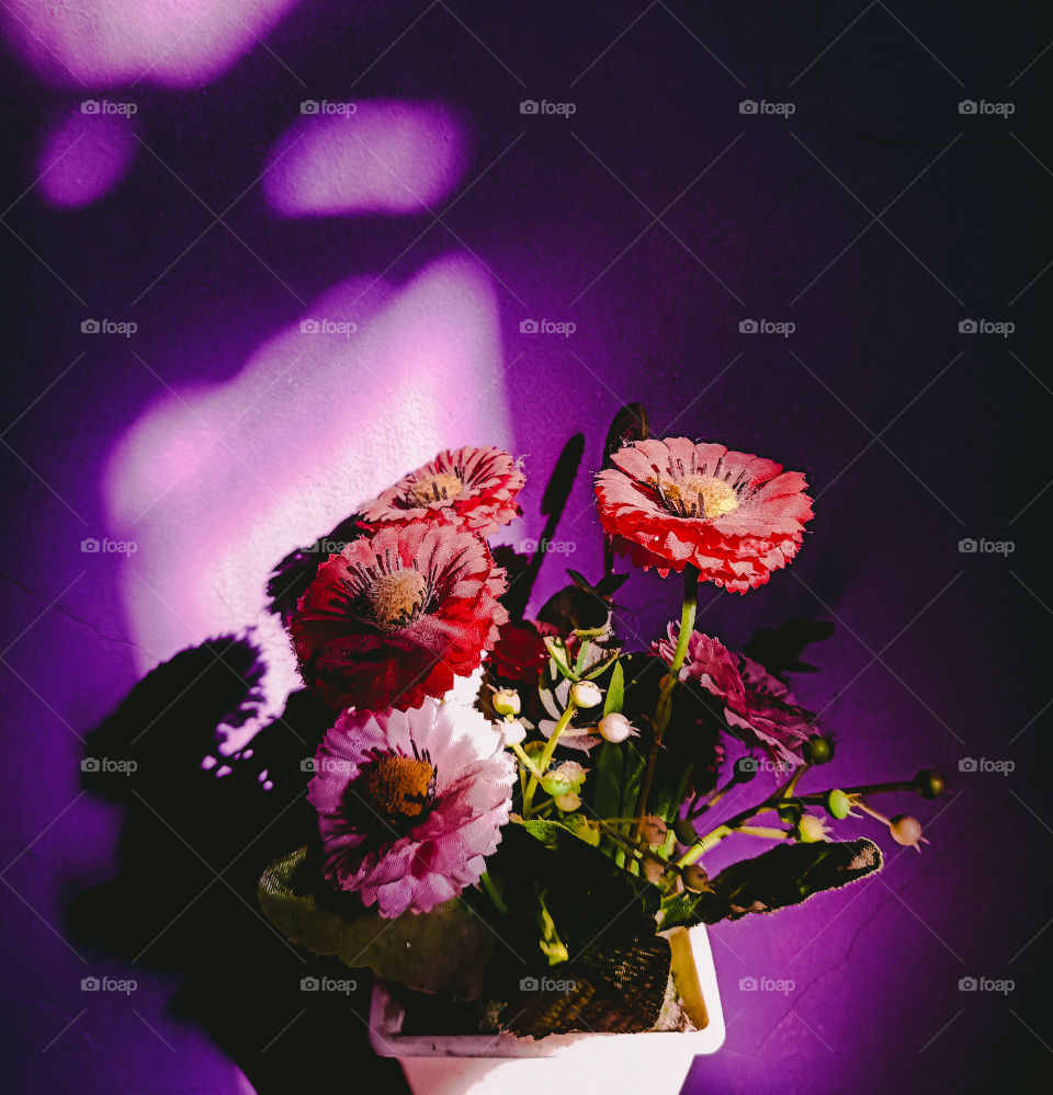 Sunligt make fake flowers become real