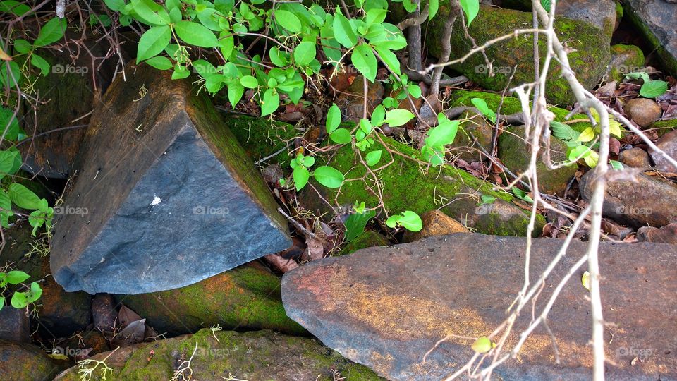 Rochas e vegetais, minérios. Pedras, cores, metais. Matas, rios, ilhas. Fenômenos da natureza. Belezas de nosso planeta.