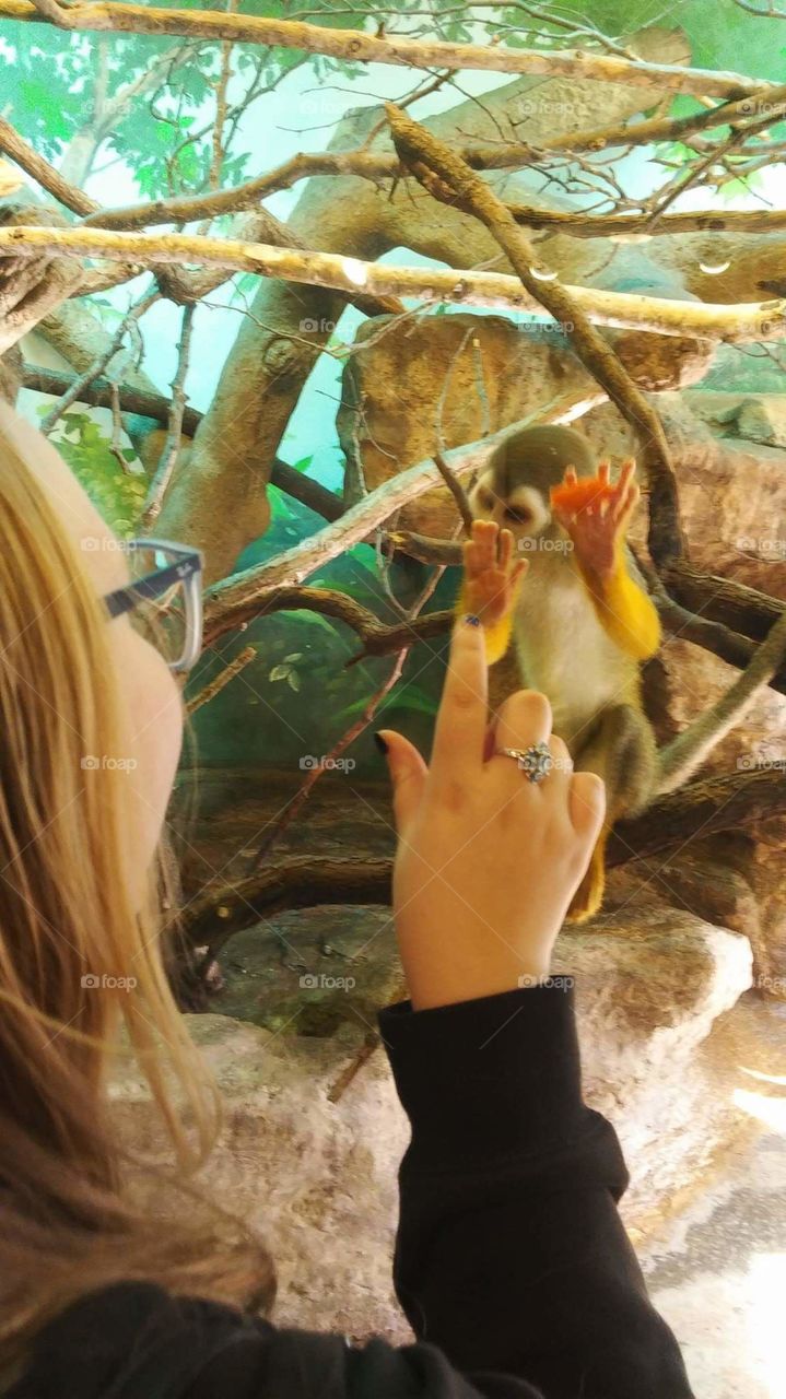 bonding with a monkey