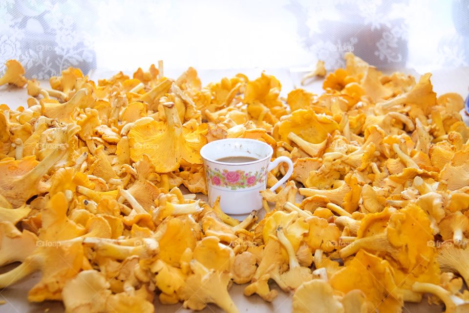 Chanterelles, mushrooms