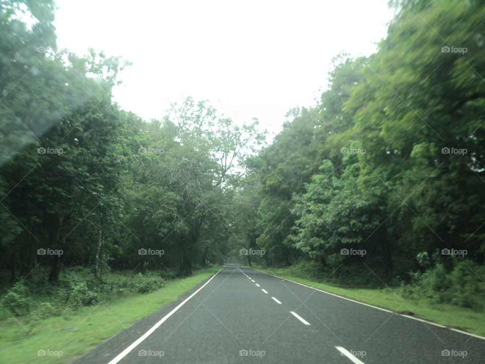 Road