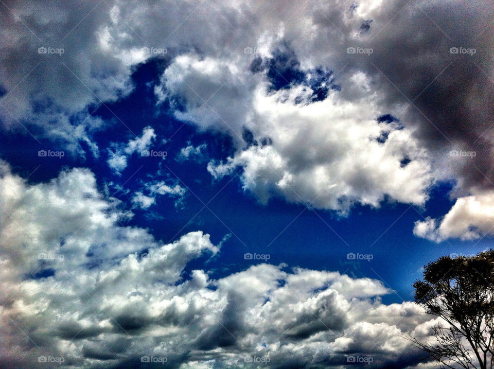 sky blue outdoors white by king