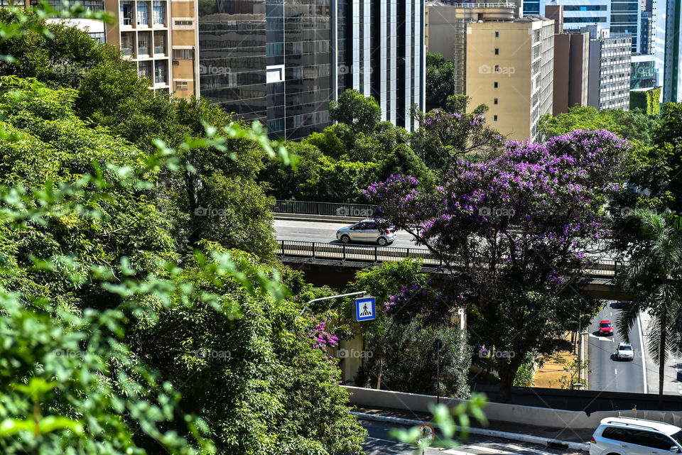 Vista do Vale do Mirante MASP