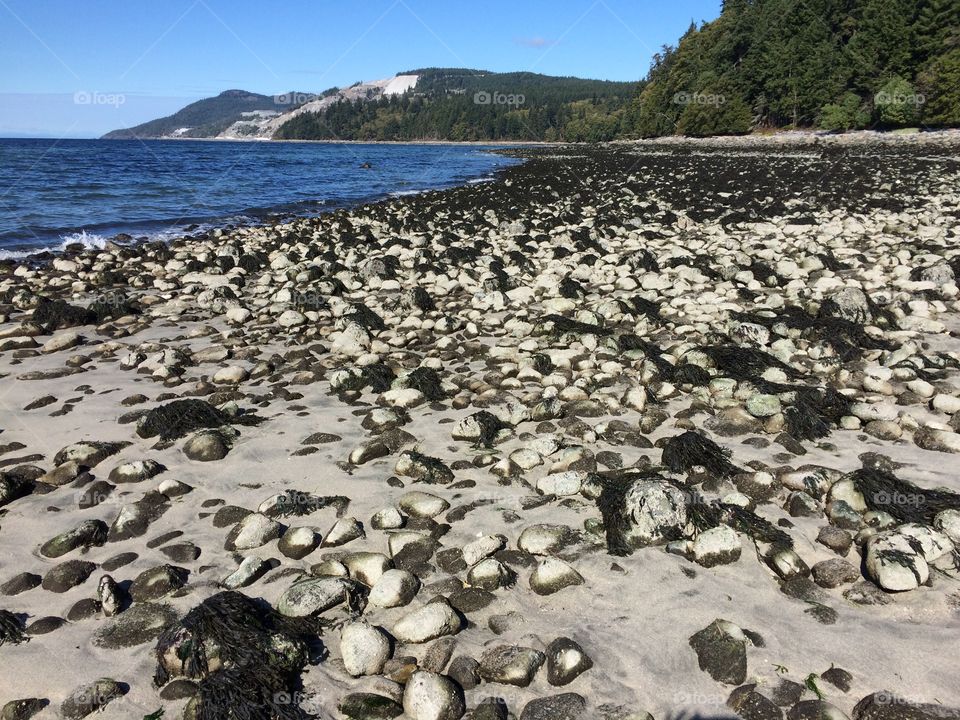 Seashore rocks and ocean