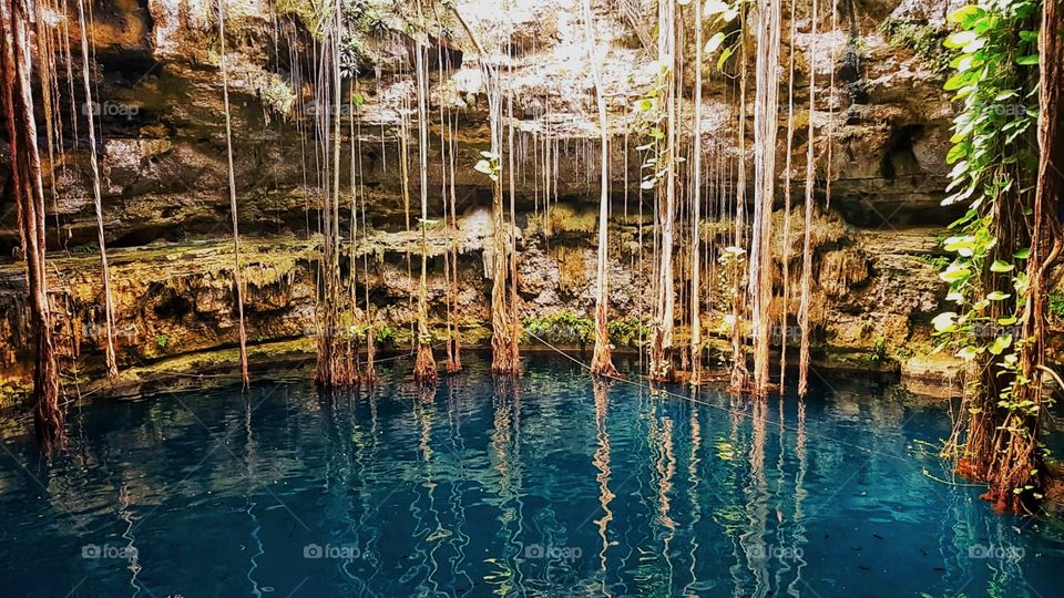 Cenote Oxman. Just look at the tree roots! Turquoise water, rope swing - what more could you want?