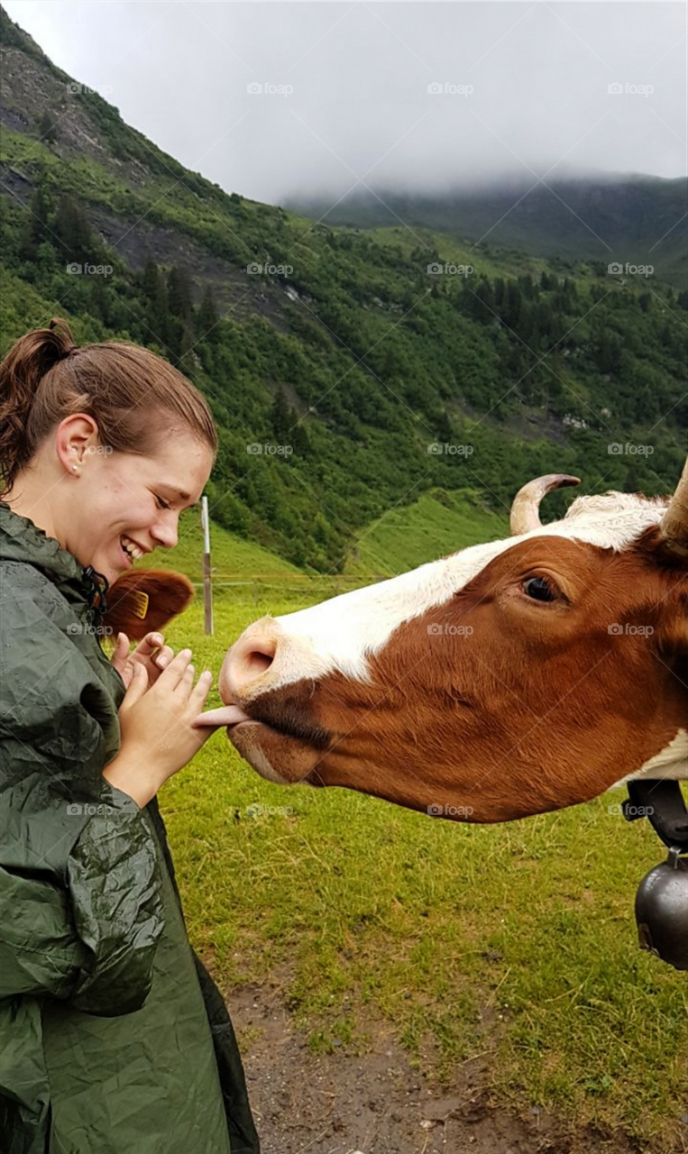 cow meets girl