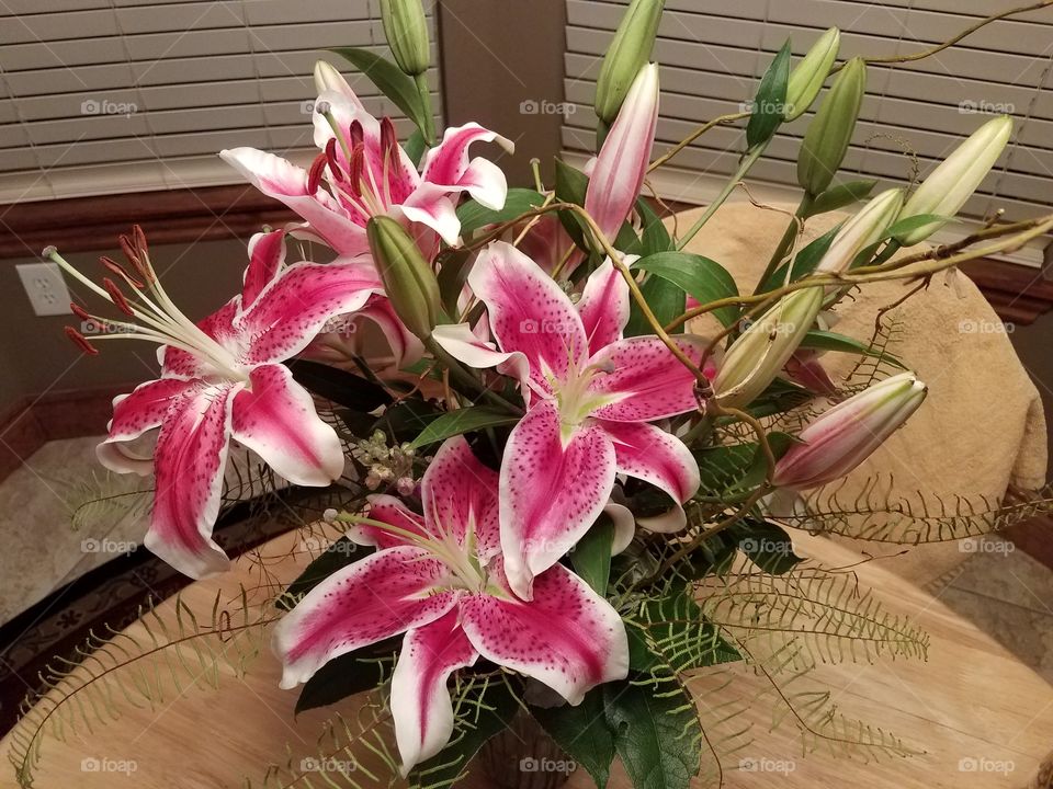 Lilies in bloom