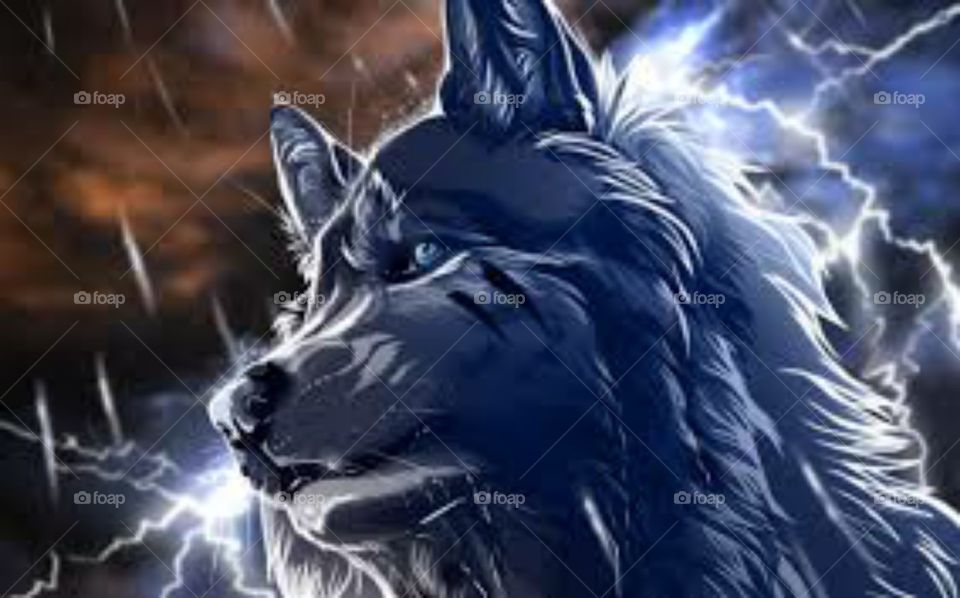 best wolf