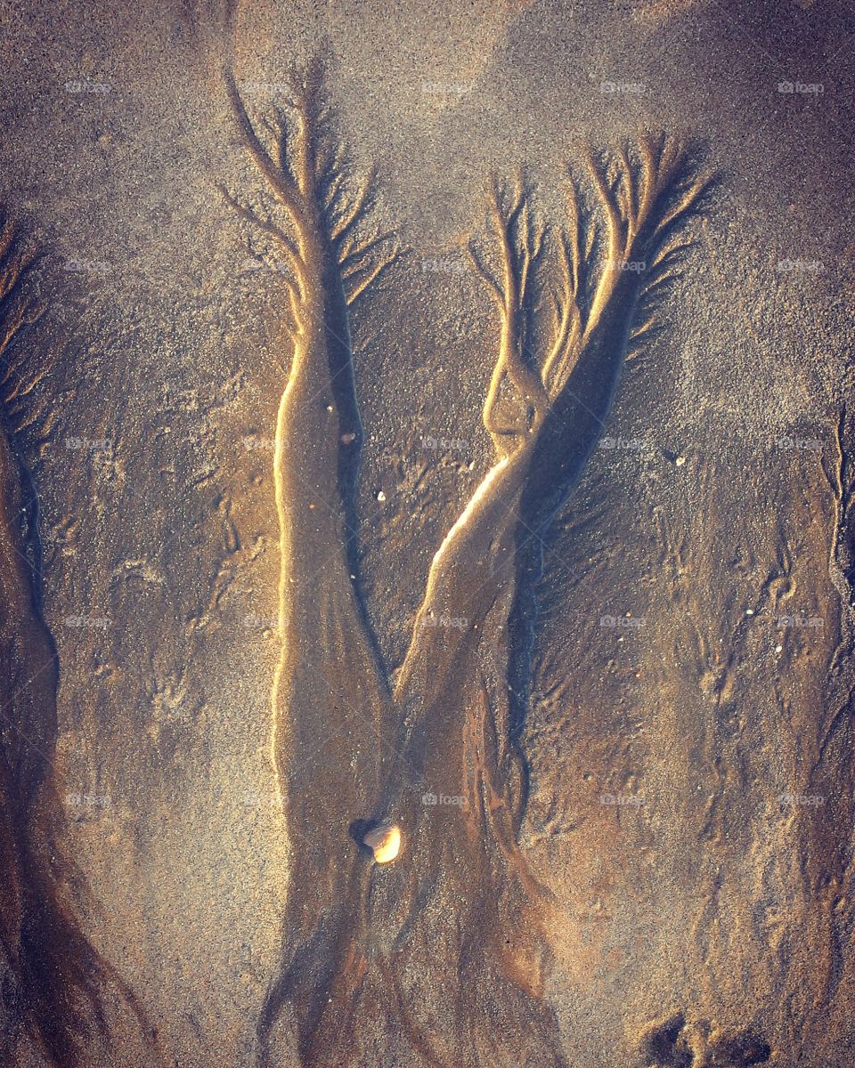 Sand Art taken at Urangan beach. Hervey Bay, QLD
