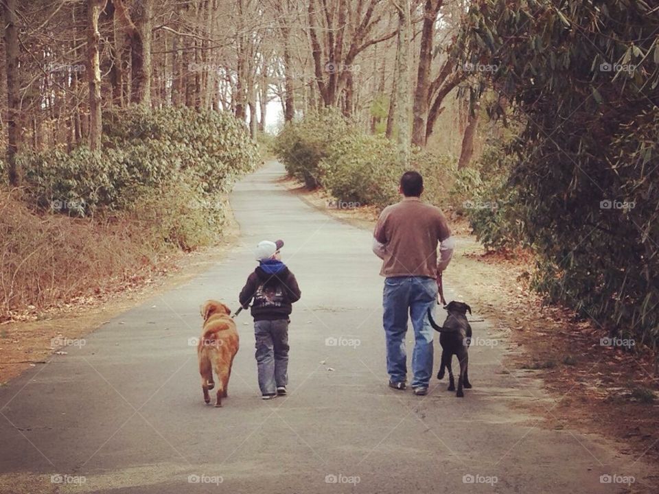 Father and son walk dogs
