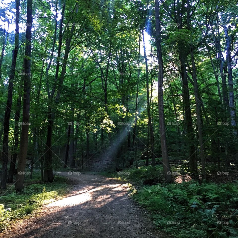 We all have cracks. That's how the light gets in. A hot but fantastic run this morning. 