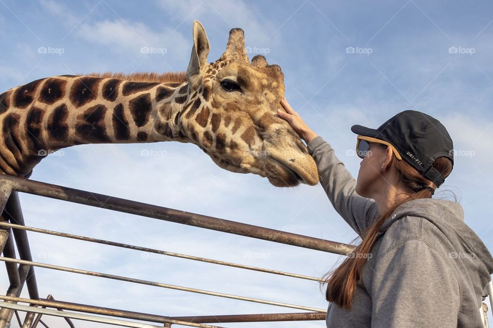 Giraffe touch