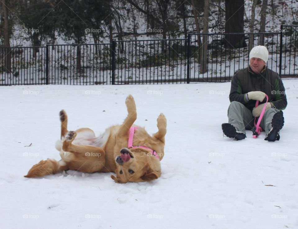 Dog, Snow, Child, Winter, People