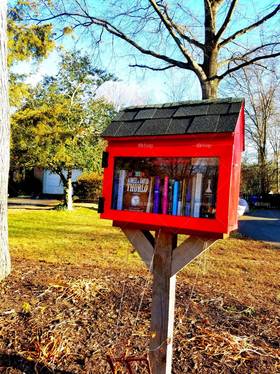 Little library