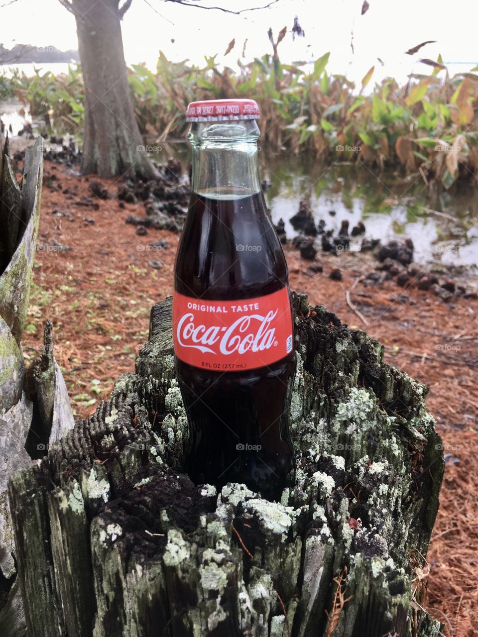 Coca-Cola photography mission 