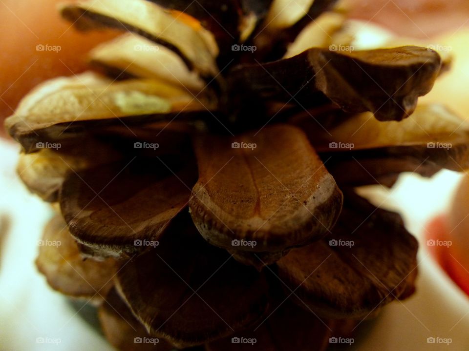 A close up of a pinecone