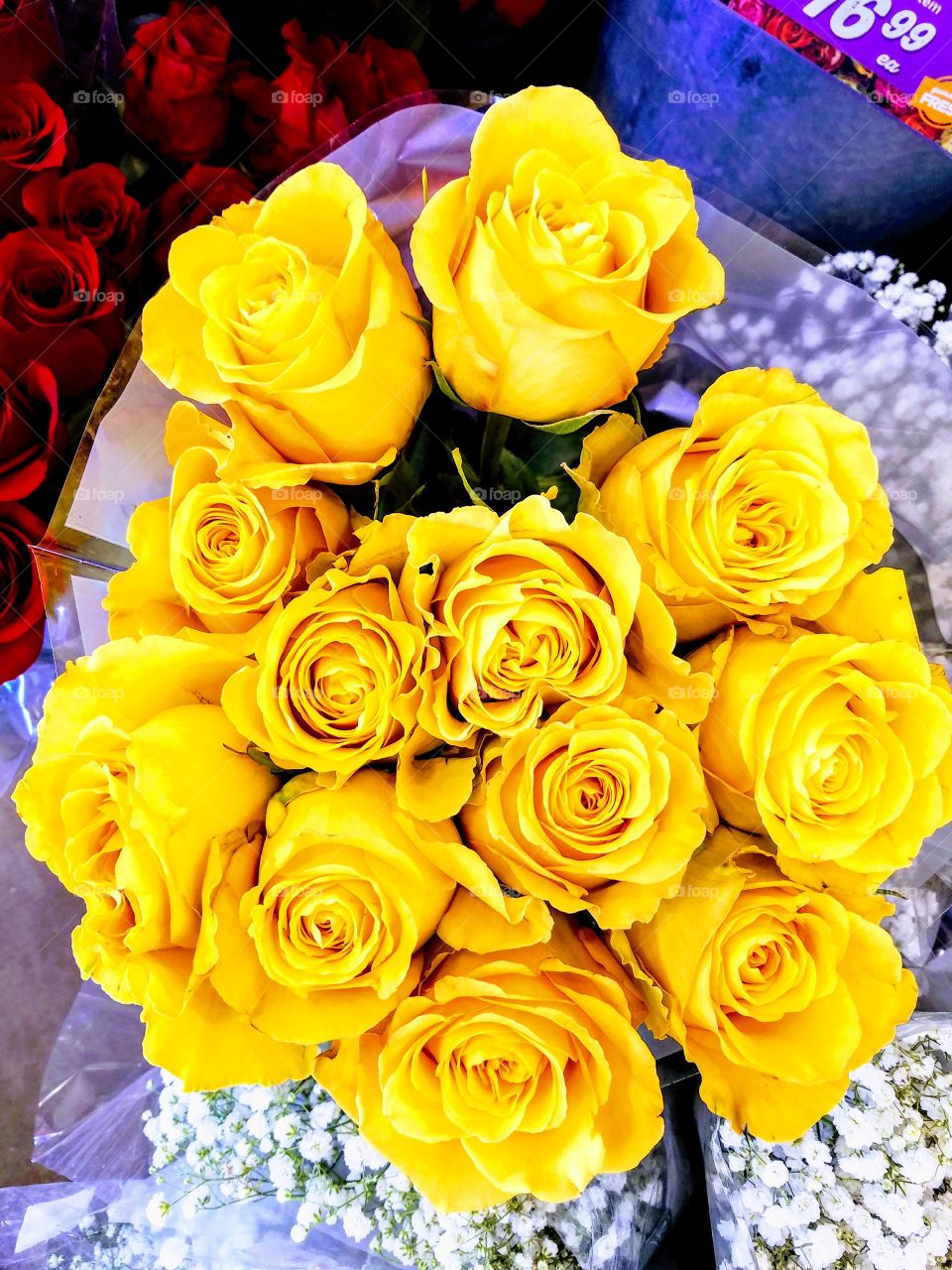 Yellow Roses