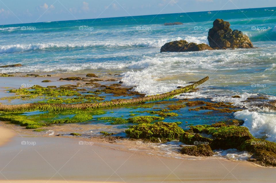 Water, Beach, Sea, Seashore, Ocean