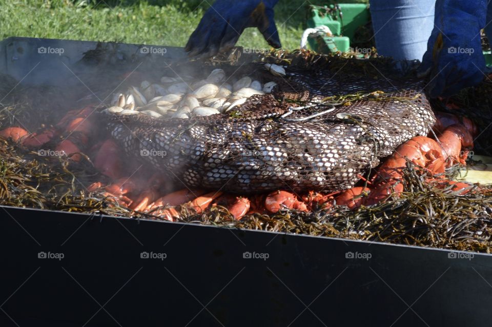 Lobster fest in Maine