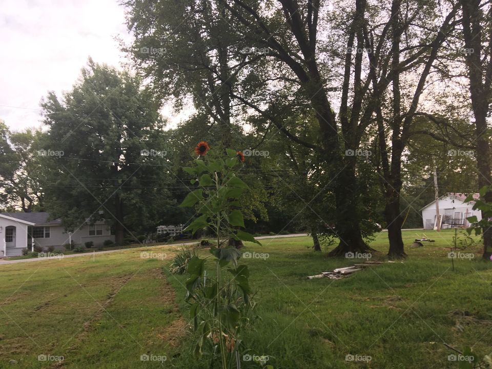 May your day be sunny and bright and your week be Blessed. Find something to enjoy.