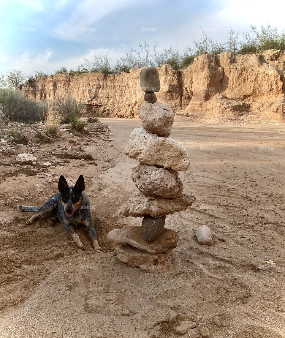 Hiking in Arizona with your dog