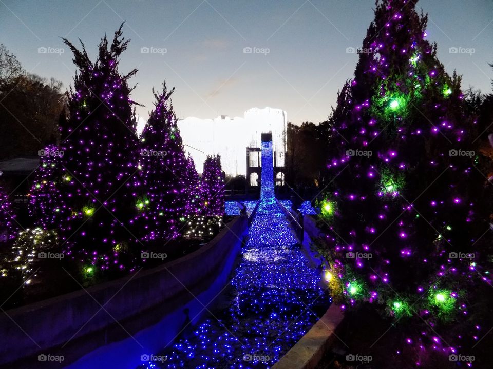 Water of lights flowing in the trees