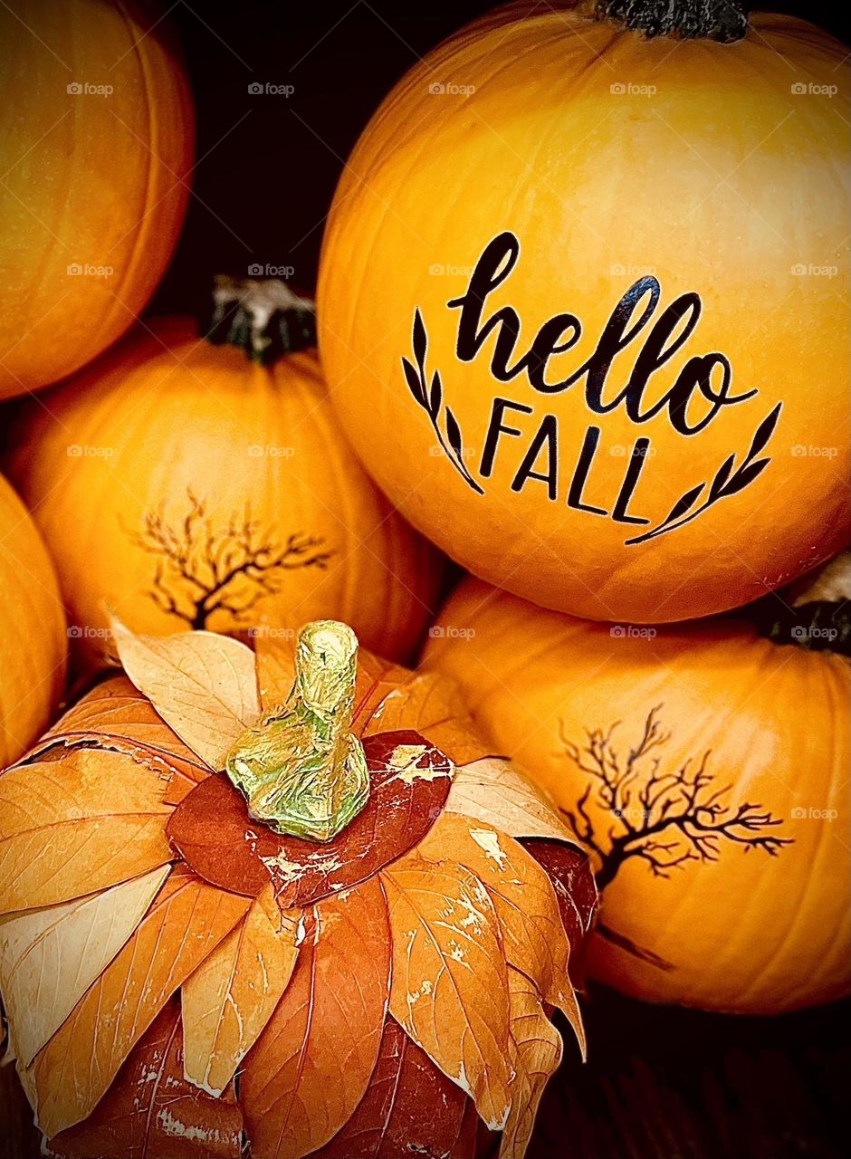 Hello Fall Pumpkins