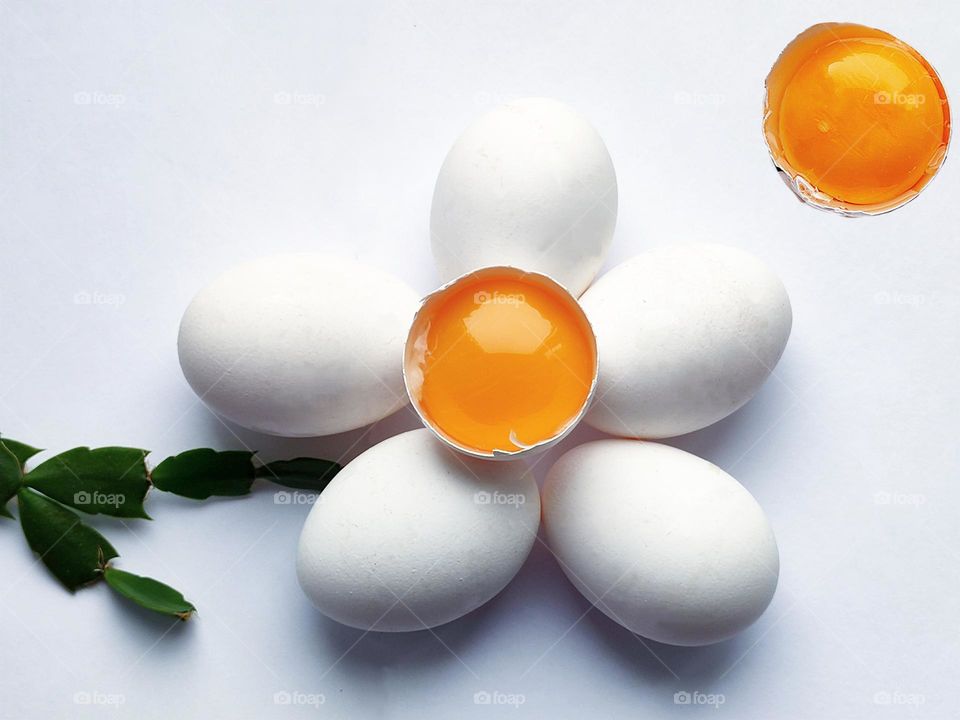 On a white background lie five white eggs in the shape of a flower.The core of a flower made from eggs is a yellow egg yolk in a white shell.Green branch of a cactus in the form of a stem.Yellow egg yolk in the shell in the form of the sun. White.