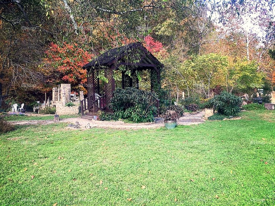 Fall Colors Everywhere