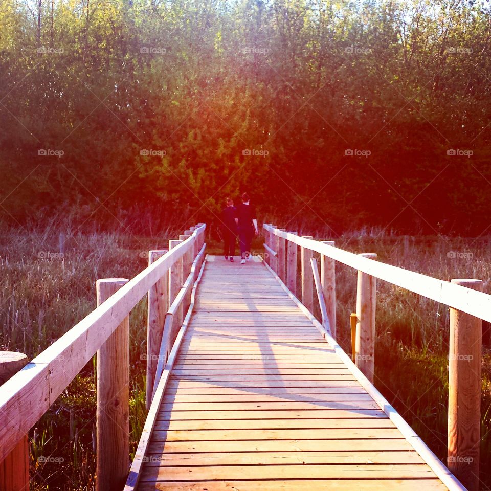 bridge of dead dreams. lost souls, sunshine, birds, plants, everything is here.