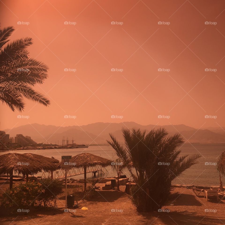 Eilat, morning, palm trees, sand, sea, what could be better?  The picture was taken through glasses, it seems to me that the atmosphere is excellent.