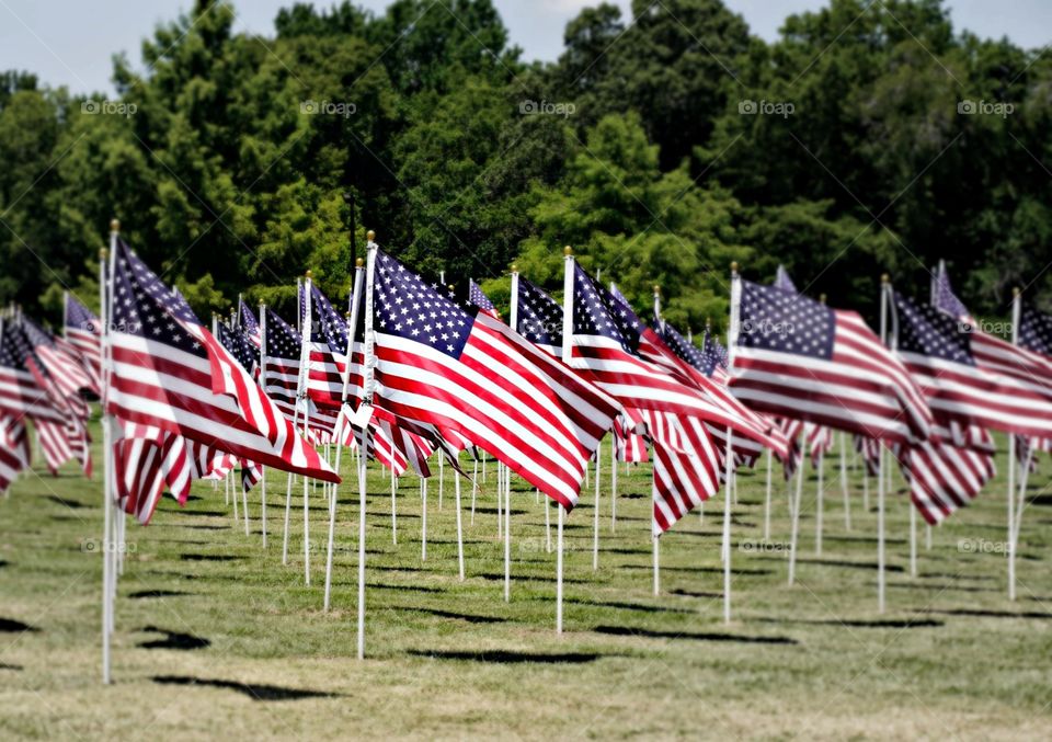 One of the many tangible flag displays set up throughout the United States each year, designed to honor our military. Each flag has been dedicated by friends and family to remember and celebrate local heroes, past and present.