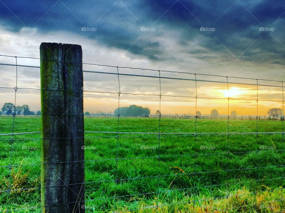 Farmfield sunrise