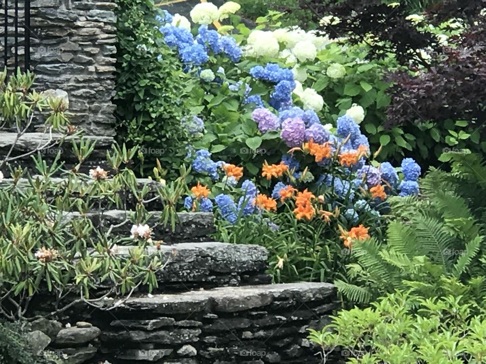 Floral Steps