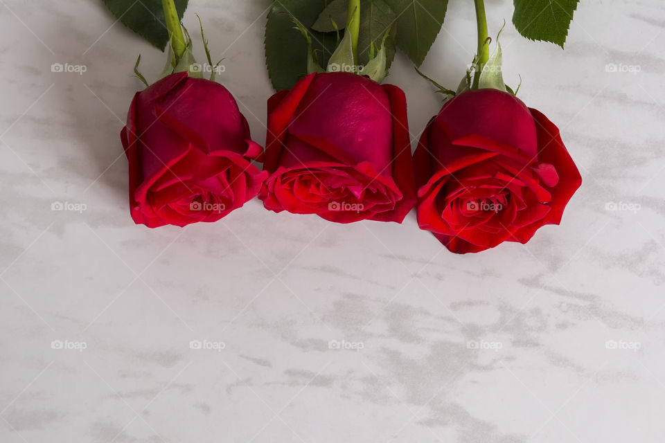Three red beautiful roses on a marble table. Space for writing