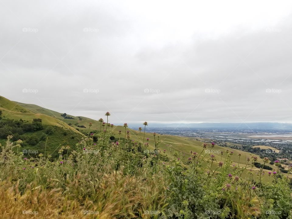 View of Silicon Valley