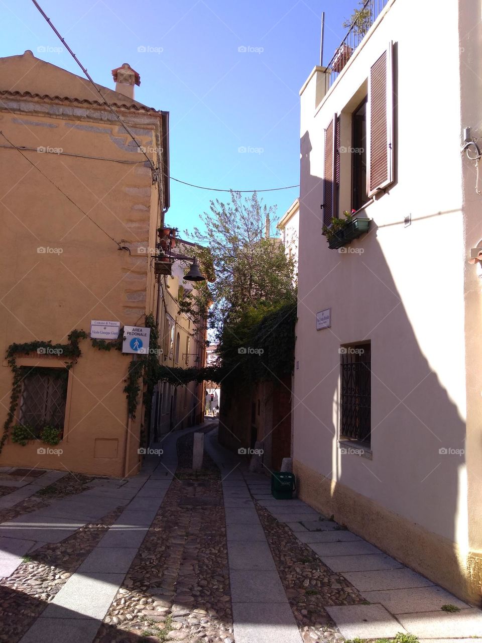 Editors' Choice: Photo of the Week