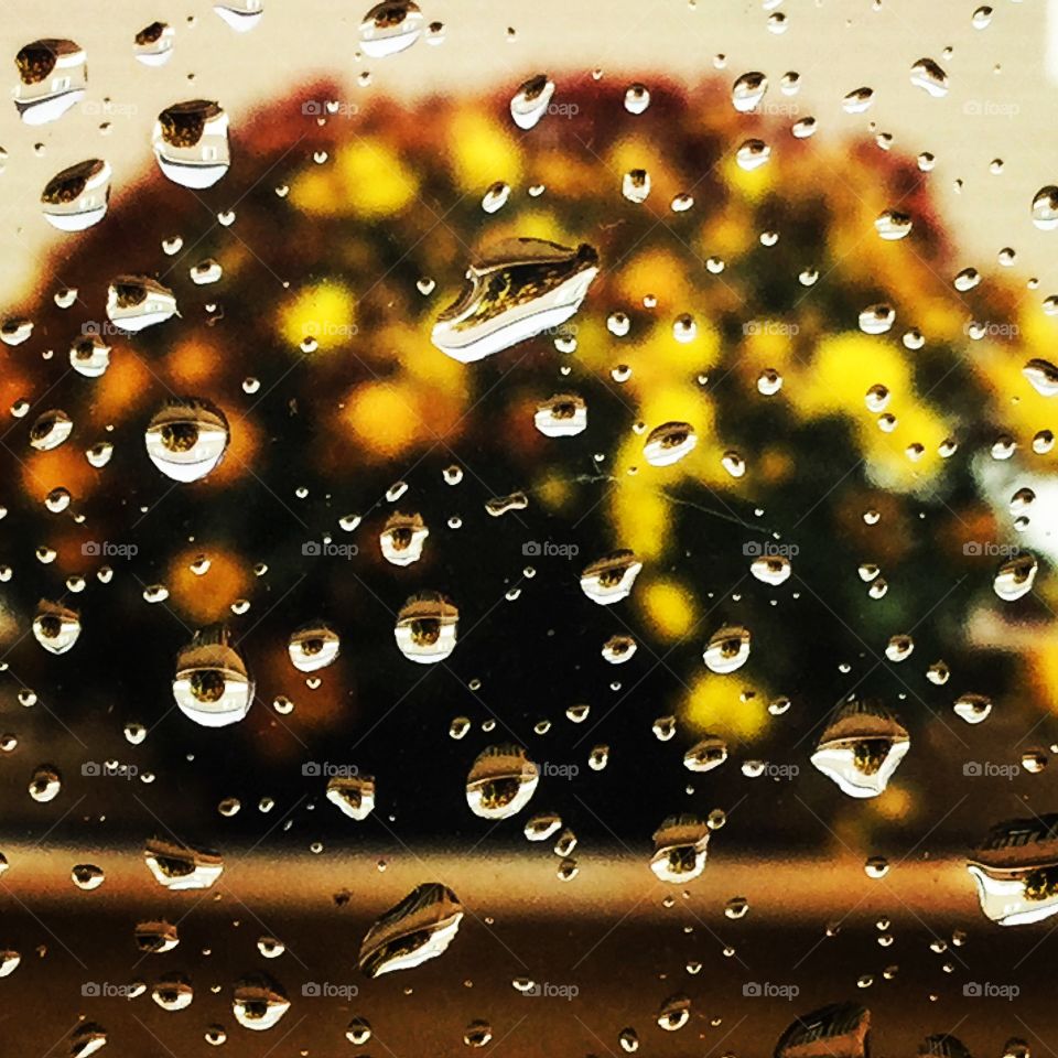 See through the raindrops 