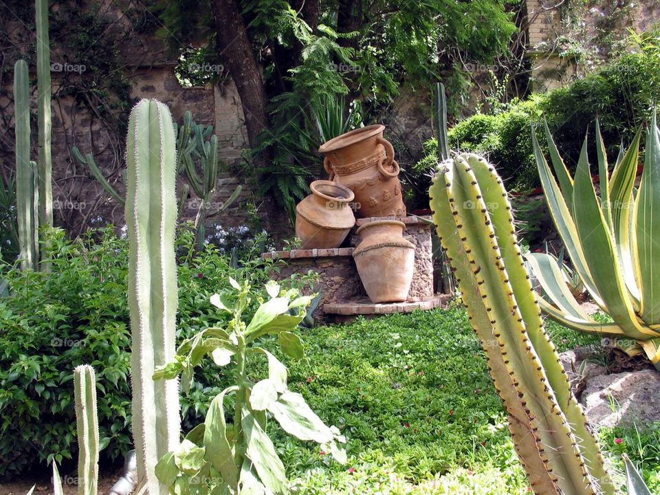 Mexican Garden