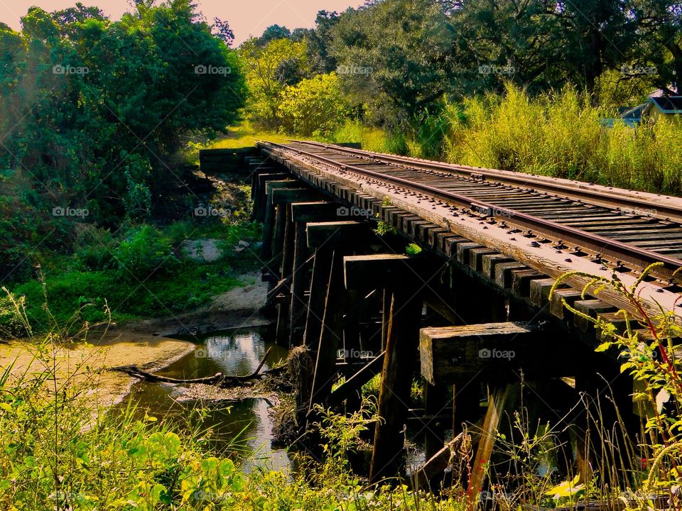 Old railway bridge