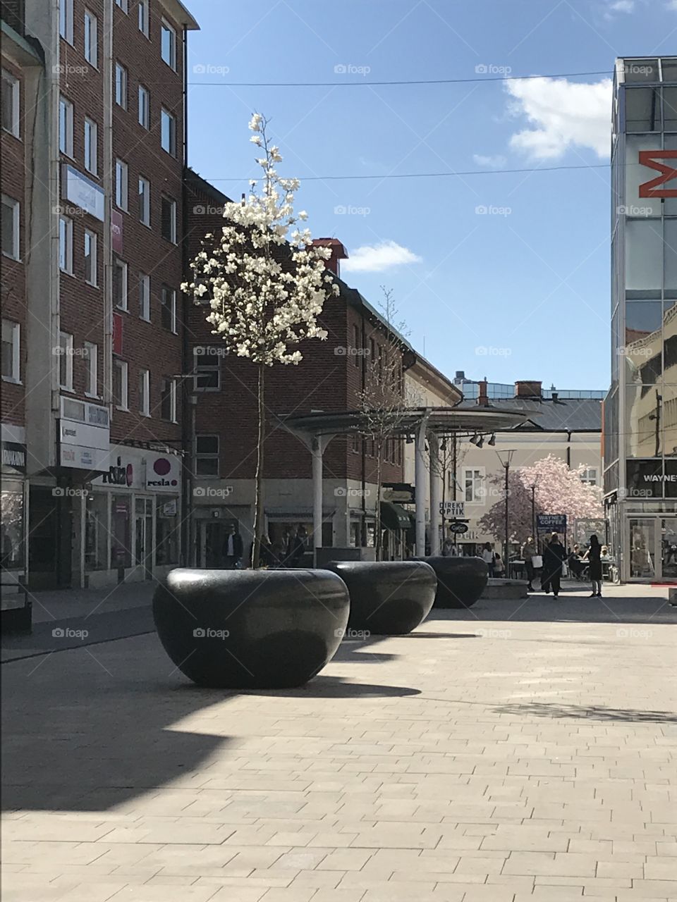 Västerås centre spring