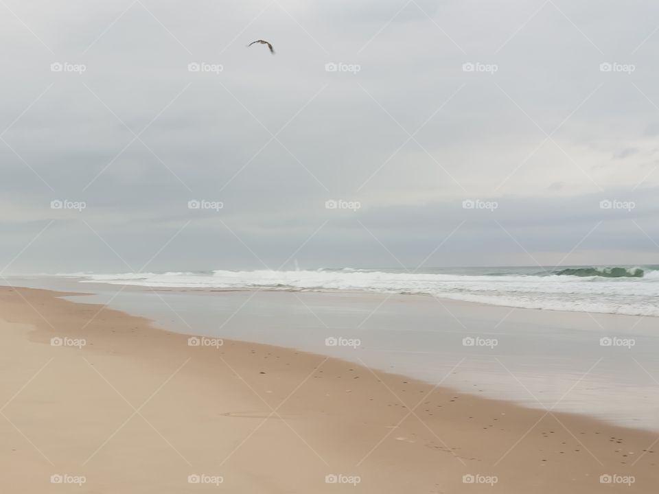 Hazy mornings along the beach where pelicans fly