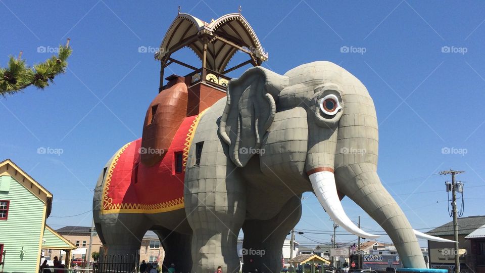 Lucy the Elephant 2024