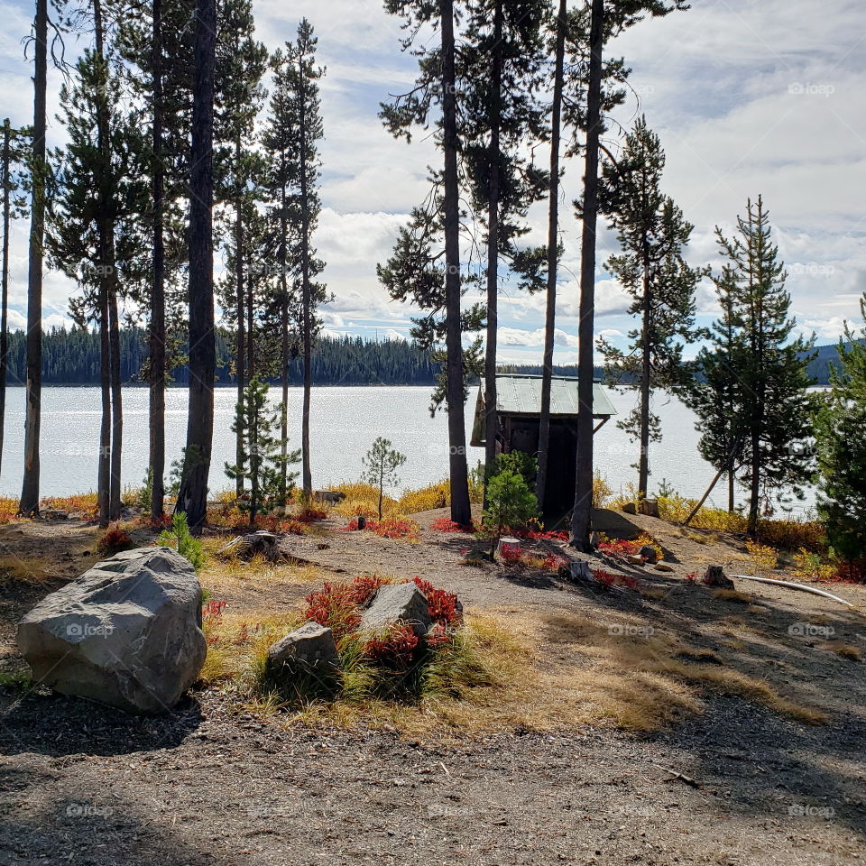 Brilliant fall colors of a landscape on the shores of Elk Lake in Oregon’s Cascade Mountains