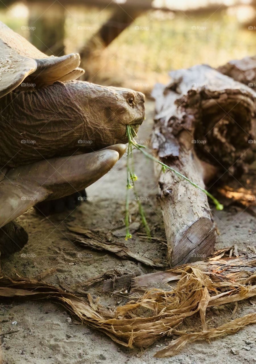 Hello there, don’t be shy ☺️