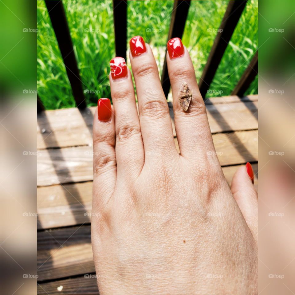 A little sweet friend.