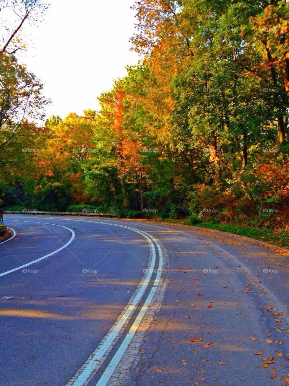 The road well traveled 