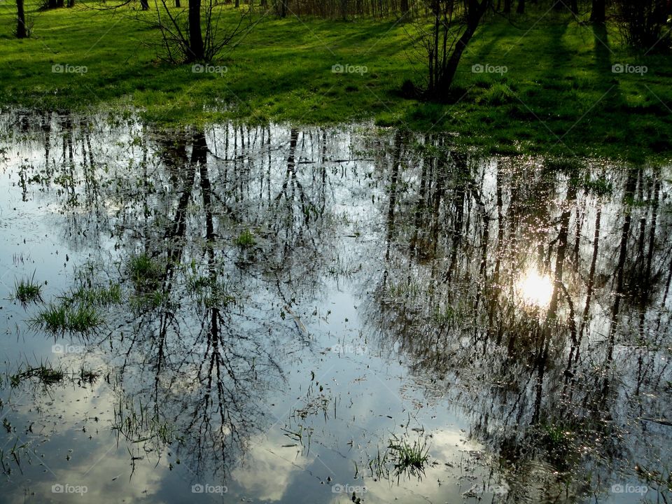 Water, Reflection, Nature, River, Wood