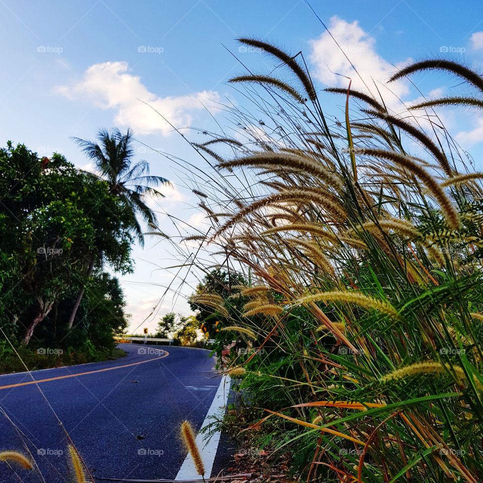 Road in countryside