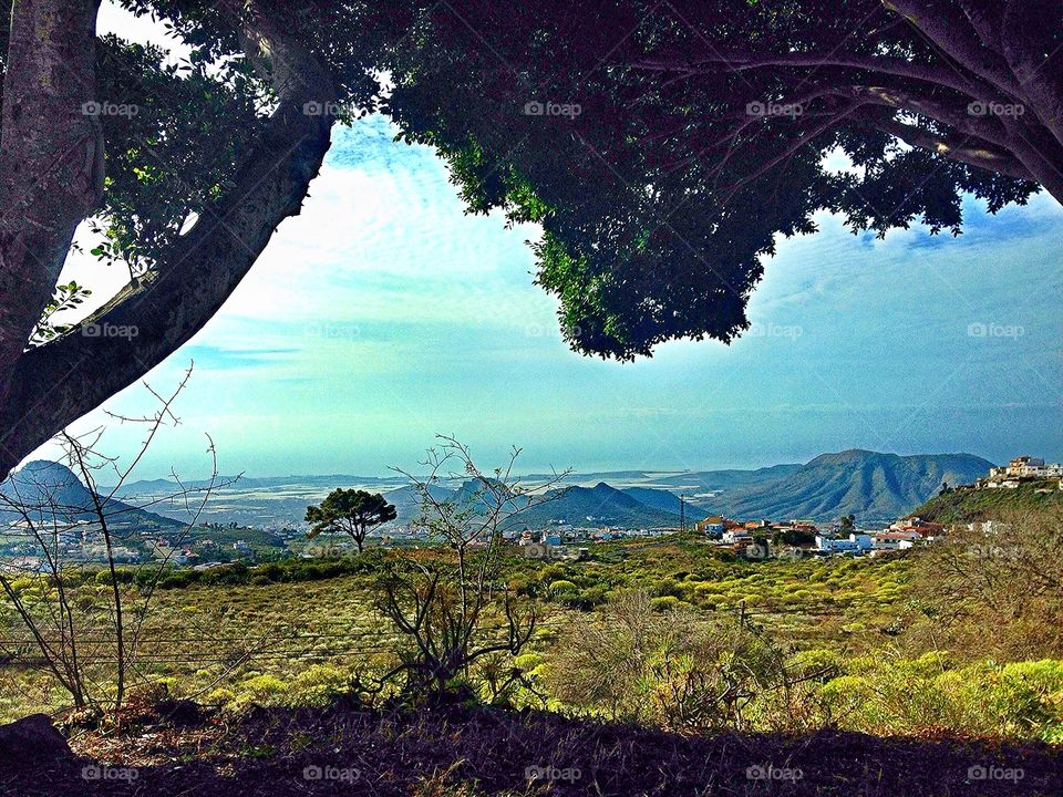 Scenery Tenerife
